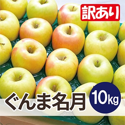 【26年4月より順次発送】平均糖度13度以上! ぐんま名月 約10kg 訳あり  クール便