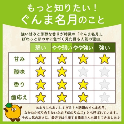 【27年4月より順次発送】平均糖度13度以上! ぐんま名月 約10kg 訳あり  クール便 青森県産