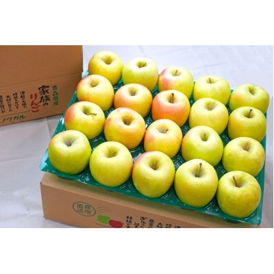 【11月より順次発送】青森りんご ぐんま名月 約5kg おもてなし用 平均糖度13度以上!