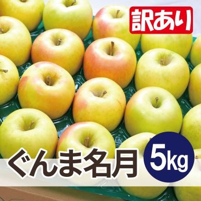 【26年1月より順次発送】平均糖度13度以上! ぐんま名月 約5kg 訳あり