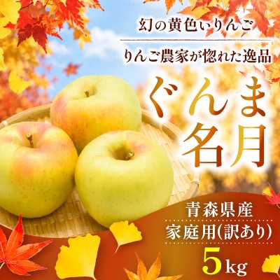 【26年11月から順次発送】青森県産りんご ぐんま名月 約5kg 訳あり 平均糖度13度以上!