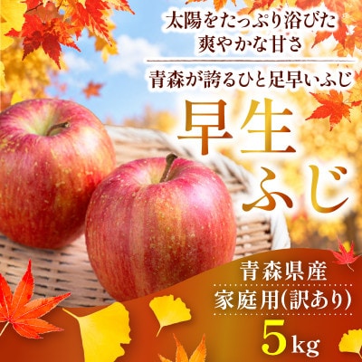 【26年10月より順次発送】平均糖度13度以上! 早生ふじ 約5kg 訳あり　青森りんご