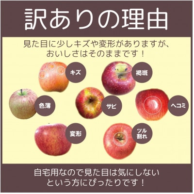 【25年10月より順次発送】平均糖度12度以上! 早生ふじ 約10kg 訳あり