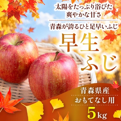 【26年10月より順次発送】平均糖度12度以上! 早生ふじ 約5kg おもてなし用　青森りんご