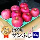 【26年1月より順次発送】平均糖度13度以上! サンふじ 約10kg 贈答