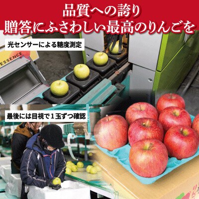 【26年1月より順次発送】平均糖度13度以上! サンふじ 約3kg 贈答