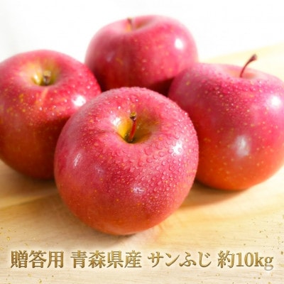 【26年11月から順次発送】平均糖度13度以上! サンふじ 約10kg 贈答 青森県産 りんご
