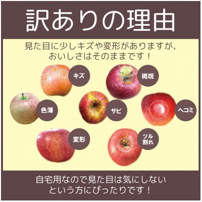 【25年11月より順次発送】平均糖度13度以上! サンふじ 約10kg 訳あり