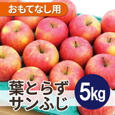 【26年1月より順次発送】平均糖度13度以上! 葉とらずサンふじ 約5kg おもてなし用