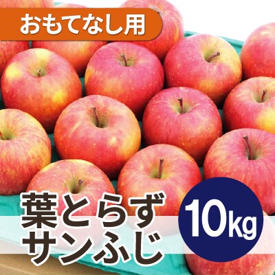 【25年11月より順次発送】平均糖度13度以上! 葉とらずサンふじ 約10kg おもてなし用