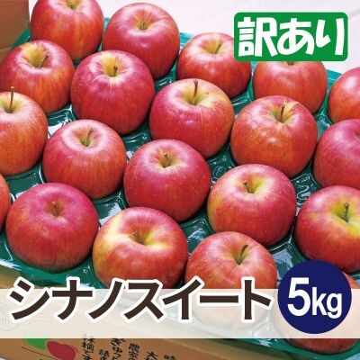 【26年1月より順次発送】平均糖度13度以上! シナノスイート 約5kg 訳あり