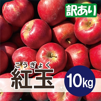 【25年11月より順次発送】 紅玉 約10kg 訳あり