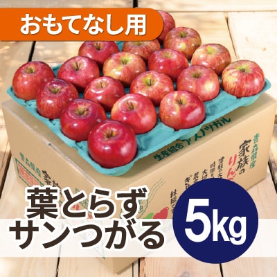 【25年10月より順次発送】平均糖度12度以上! 葉とらずサンつがる 約5kg おもてなし用