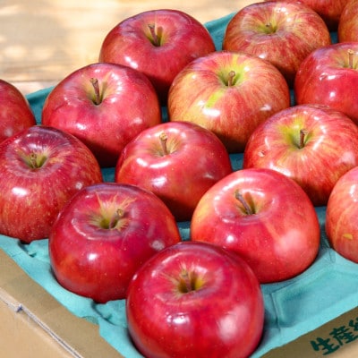 【26年9月より順次発送】平均糖度12度以上! 葉とらずサンつがる 約3kg 訳あり  クール便