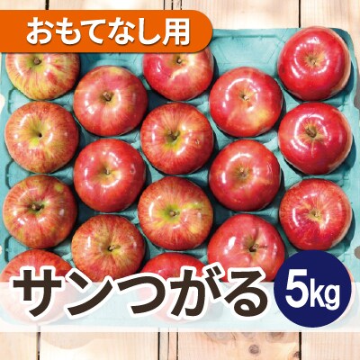 【25年8月より順次発送】平均糖度12度以上! サンつがる 約5kg おもてなし用  クール便