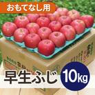 【25年10月より順次発送】平均糖度12度以上! 早生ふじ 約10kg おもてなし用