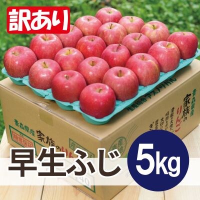 【25年11月より順次発送】平均糖度13度以上! 早生ふじ 約5kg 訳あり