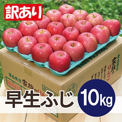 【25年11月より順次発送】平均糖度13度以上! 早生ふじ 約10kg 訳あり
