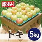 【26年2月より順次発送】平均糖度13度以上! トキ 約5kg 訳あり