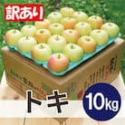 平均糖度13度以上! トキ 約10kg 訳あり