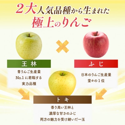 【26年10月～11月順次出荷予定】平均糖度13度以上! トキ 約10kg 訳あり　青森りんご