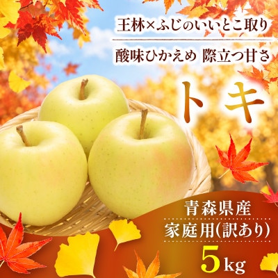 【10月から順次発送】訳あり 青森りんご トキ 約5kg  ふじと王林の良いとこどり