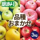 【26年4月出荷予定】りんご 品種おまかせ 約3kg 訳あり クール便