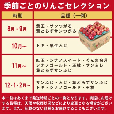 【26年1月出荷予定】りんご 品種おまかせ 約3kg 訳あり