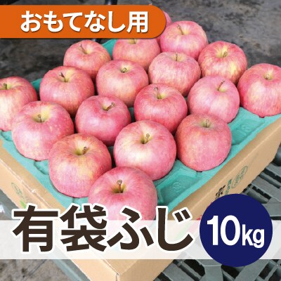 【26年5月出荷予定】平均糖度13度以上! 有袋ふじ 約10kg おもてなし用 CA貯蔵 クール便