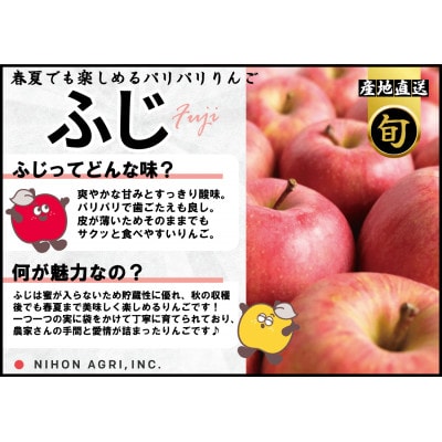 平均糖度13度以上! 有袋ふじ 約10kg 訳あり CA貯蔵 クール便