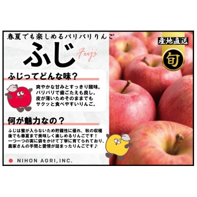 平均糖度13度以上! 有袋ふじ 約5kg 訳あり CA貯蔵 クール便