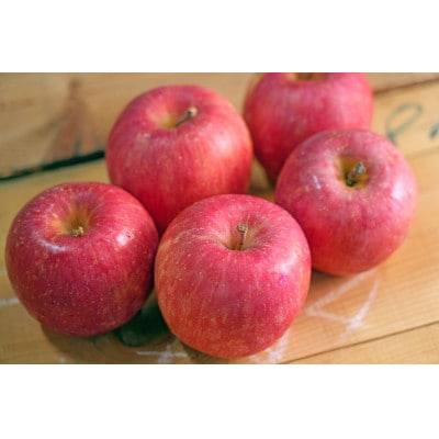 【26年3月出荷予定】平均糖度13度以上! 有袋ふじ 約5kg 訳あり