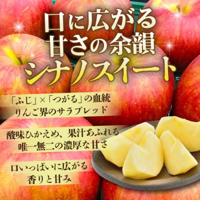 【26年11月から順次発送】青森りんご 平均糖度13度以上! シナノスイート 約5kg おもてなし用