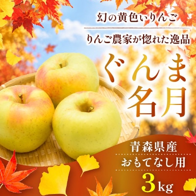 【11月中旬から順次発送】糖度13度以上保証!ぐんま名月おもてなし用約3kg(6～18玉)