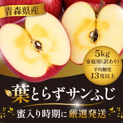 11-12月蜜入り時期に発送! 平均糖度13度以上 葉とらずサンふじ 約5kg 訳あり 青森 りんご | ふるさと納税のお礼品