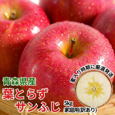 11-12月蜜入り時期に発送! 平均糖度13度以上 葉とらずサンふじ 約5kg 訳あり 青森 りんご
