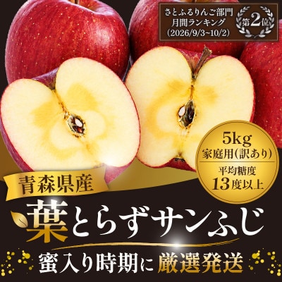 11-12月蜜入り時期に発送! 平均糖度13度以上 葉とらずサンふじ 約5kg 訳あり 青森 りんご