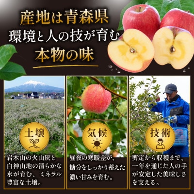 11-12月蜜入り時期に発送! 平均糖度13度以上 葉とらずサンふじ 約5kg 訳あり 青森 りんご