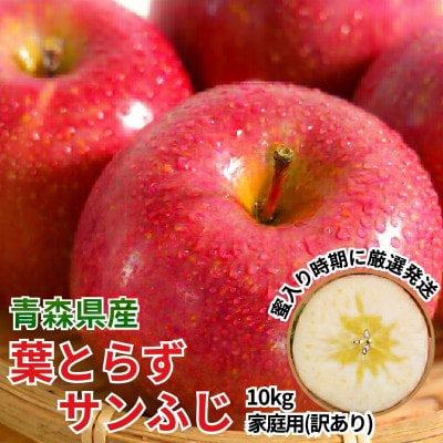 11-12月蜜入り時期に発送! 平均糖度13度以上 葉とらずサンふじ 約10kg 訳あり 家庭用