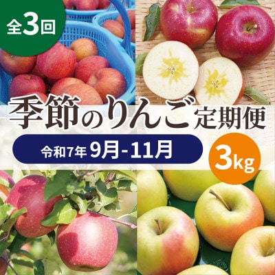 【発送月固定定期便】青森りんご 訳あり 品種おまかせ 3kg 9月～11月全3回
