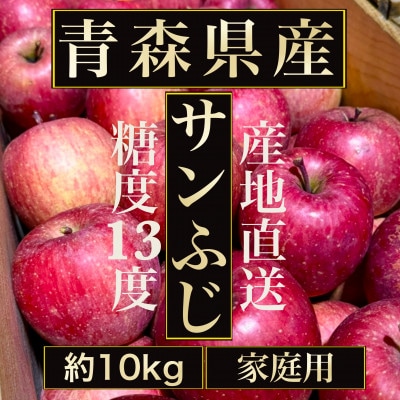 【青森の誇り】青森直送サンふじりんご約10kg(家庭用/訳あり)