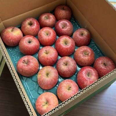 【青森の誇り】青森直送サンふじりんご約10kg(家庭用/訳あり)