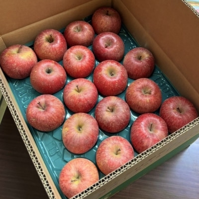 【青森の誇り】青森直送サンふじりんご約5kg(家庭用/訳あり)