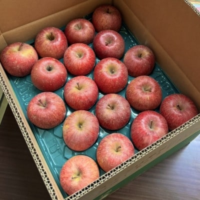 【青森の誇り】青森直送サンふじりんご約3kg(家庭用/訳あり)