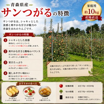 【青森県産】秋が旬サンつがる / 家庭用 約10kg