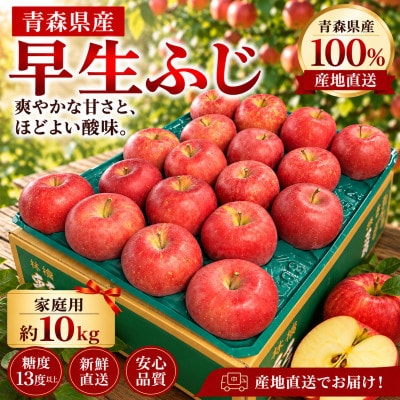 【青森県産】早生ふじ 家庭用 約10kg / ふじの美味しさを一足早く!