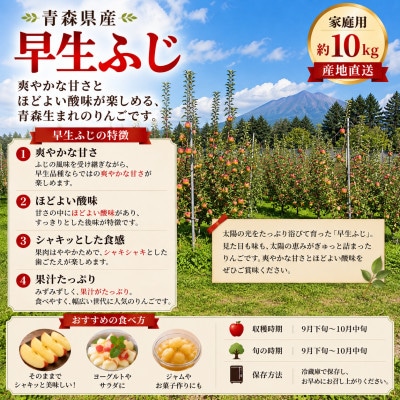 【青森県産】早生ふじ 家庭用 約10kg / ふじの美味しさを一足早く!