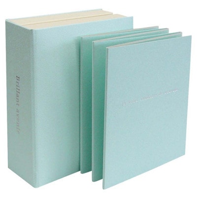 ミニョン/ブルー(L判)