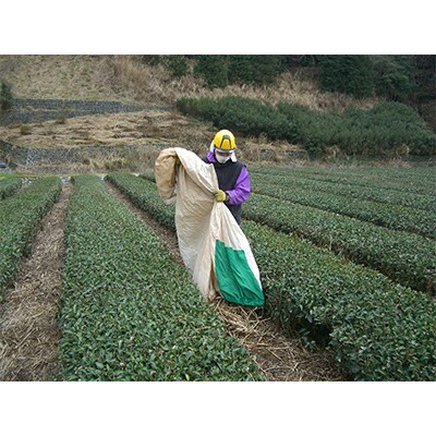 【毎月定期便】茶草場農法実践者の有機深むし煎茶100g×6本 全12回