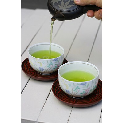 【毎月定期便】有機深むし煎茶きわみ100g×8袋全12回